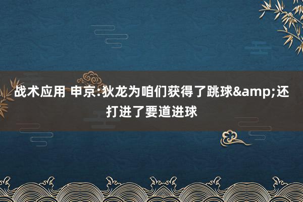 战术应用 申京:狄龙为咱们获得了跳球&还打进了要道进球