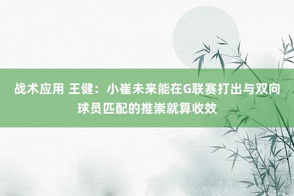 战术应用 王健：小崔未来能在G联赛打出与双向球员匹配的推崇就算收效